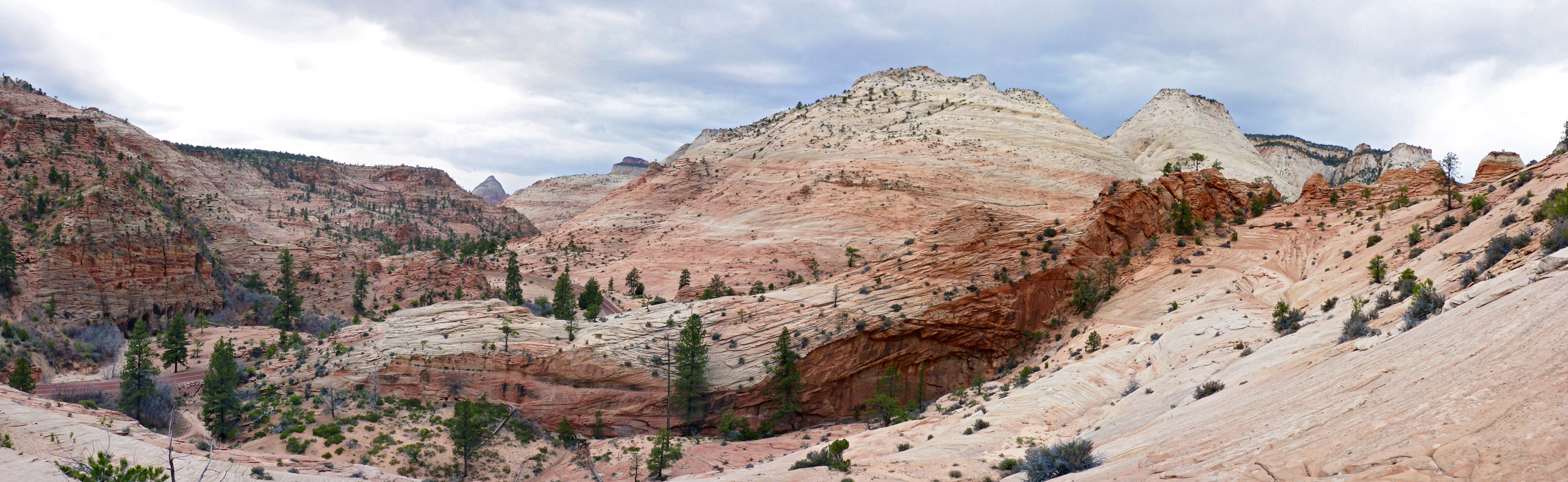 Panorama above Clear Creek