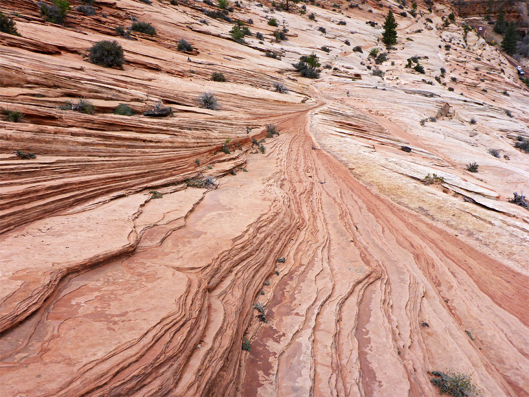 Cross-bedded sandstone