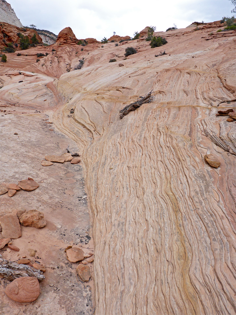 Sandstone boundary