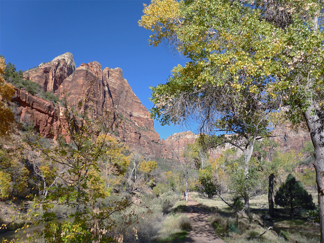 Trail near Zion Lodge