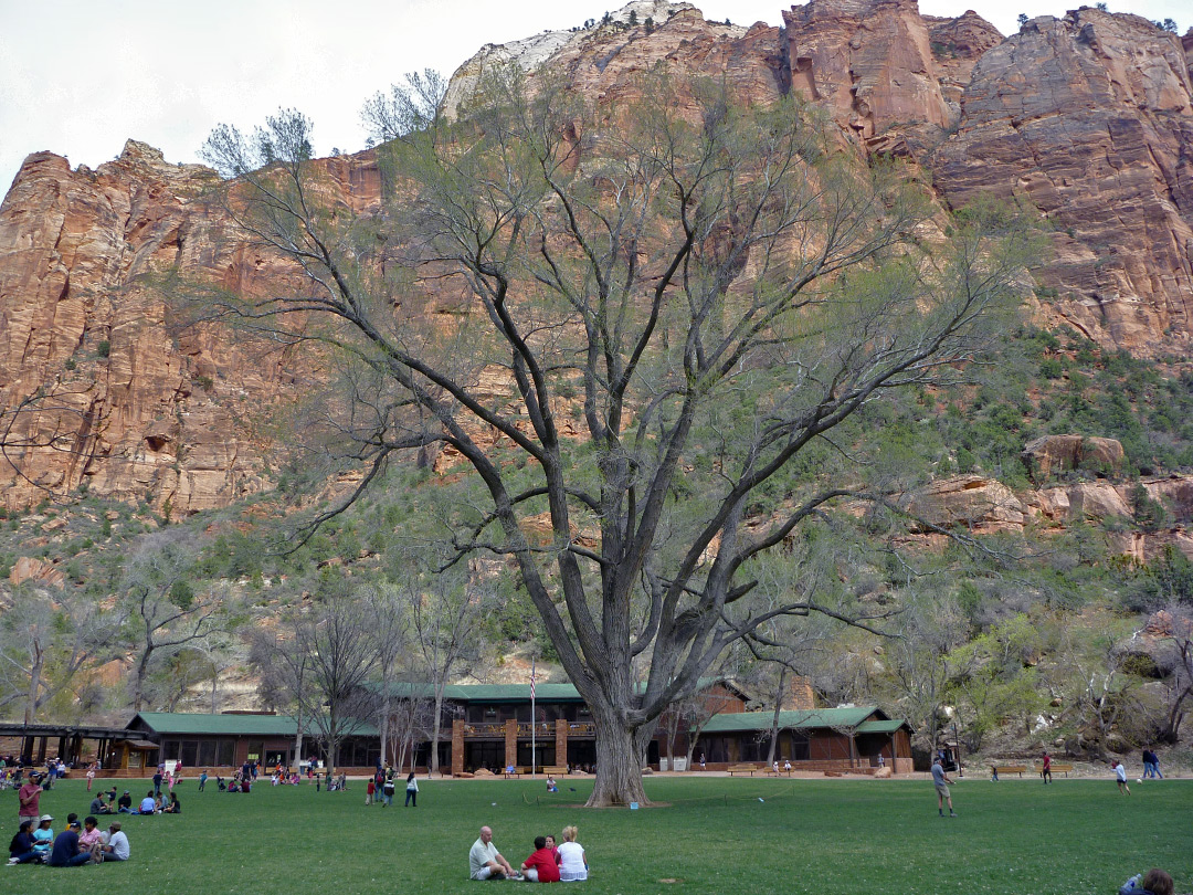 Zion National Park Lodge