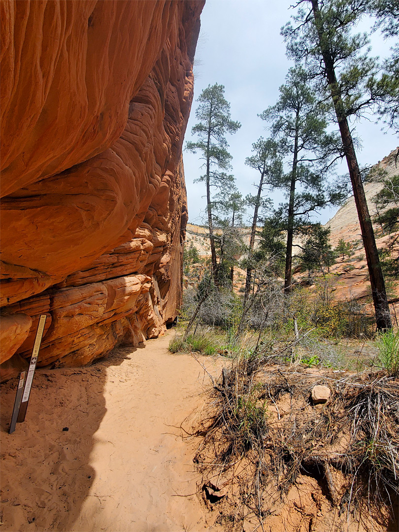 Path to the petroglyphs