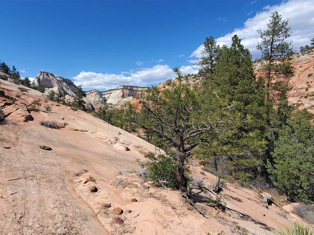 Shallow canyon