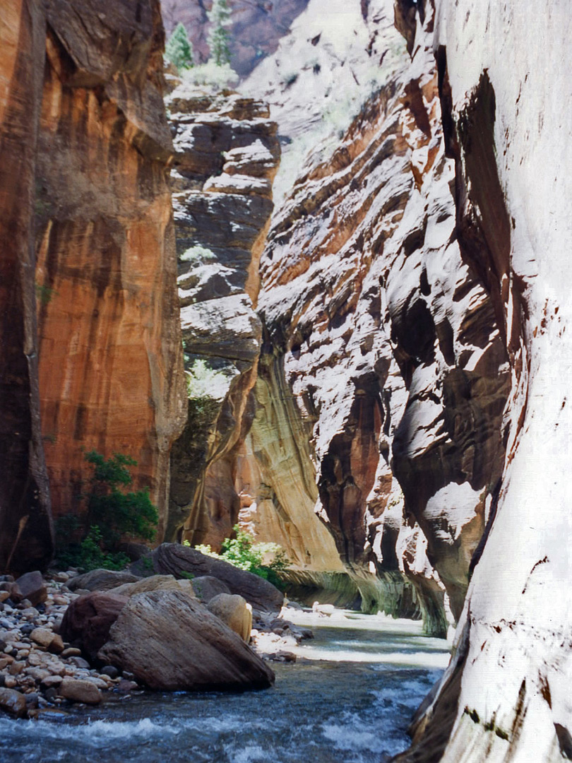 Zion Narrows