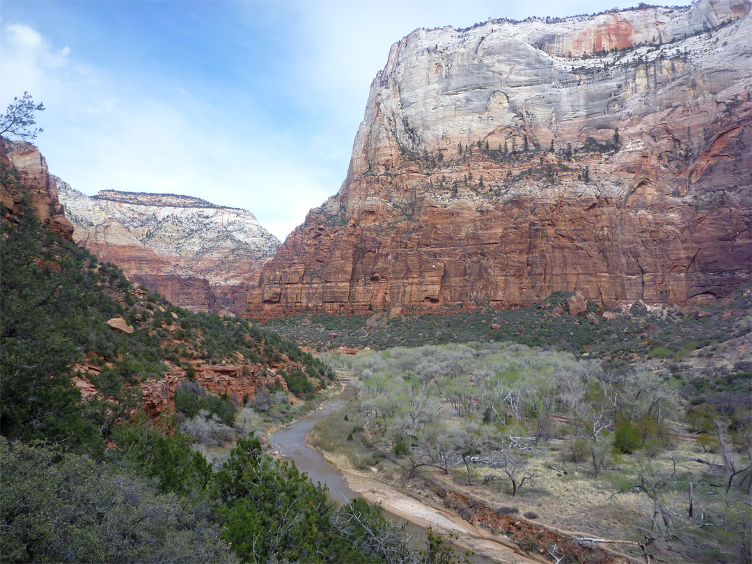 The canyon, near Zion Lodge