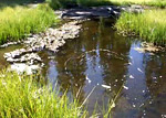 Video of Cold Boiling Lake