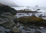 Del Norte Coast Redwoods