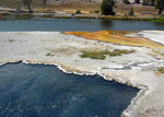 Video of springs near the Firehole River