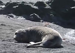 Video of the Lost Coast