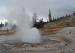 Video of Rustic Geyser