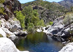 Video of Sabino Canyon