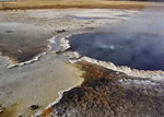 Video of Sentinel Meadows