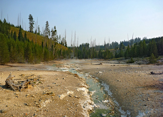 Lemonade Creek, flowing north from Amphitheater Springs