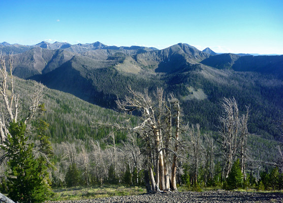 Above the treeline