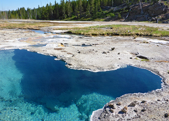 Thin sinter along the rim of Bone Pool