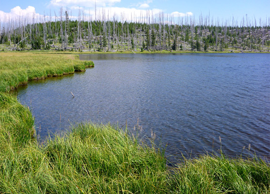 Cascade Lake