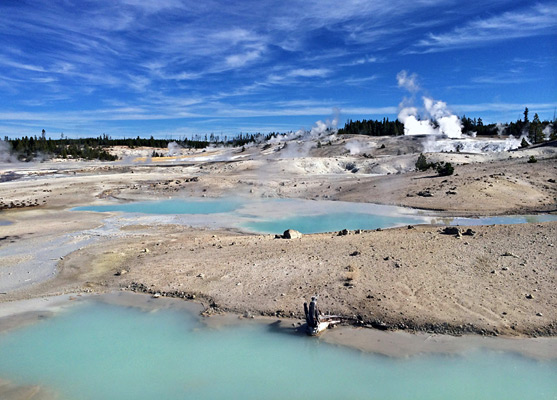 Colloidal Pool