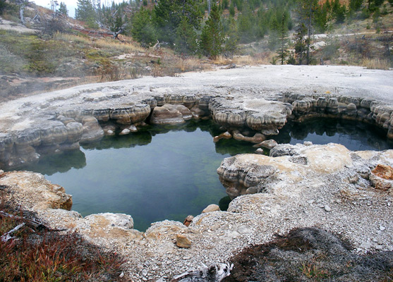 Deluge Geyser, in Heart Lake Geyser Basin