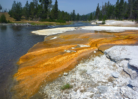 Algae and sinter deposits beside the Firehole River