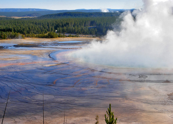 Terraces and run-off channels at the edge of Grand Prismatic Spring