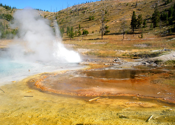 Yellow deposits at the edge of Imperial Geyser