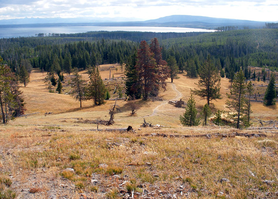 Yellowstone Lake Overlook Trail - view east from the summit