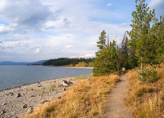 The Lakeshore Trail along the edge of Jackson Lake