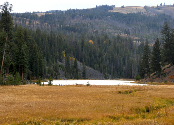Meadowland by the east end of Lost Lake
