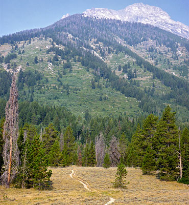 Trapper Lake Trail, Grand Teton National Park, Wyoming