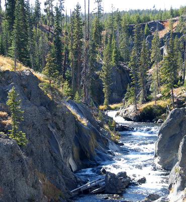Canyon of the Little Firehole River