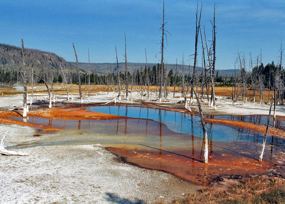 Opalescant Pool