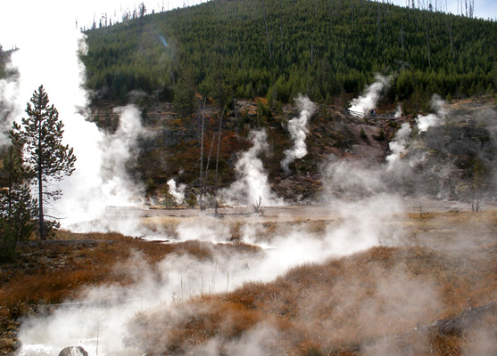 Steam rising above the pools and fumaroles at Artists Paint Pots