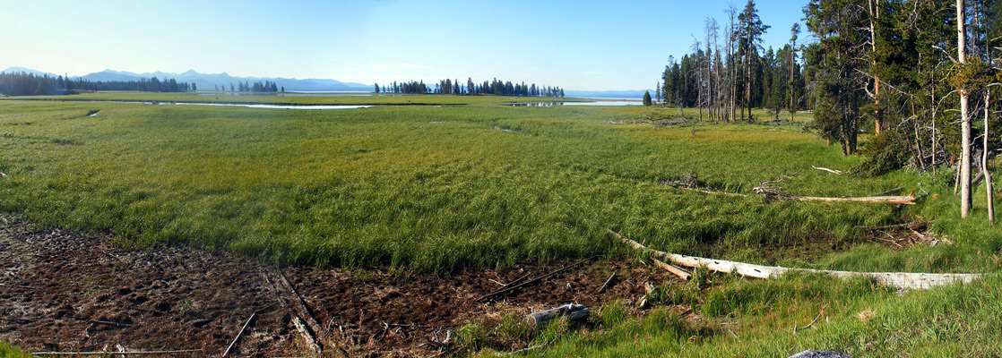 Meadow by the trailhead