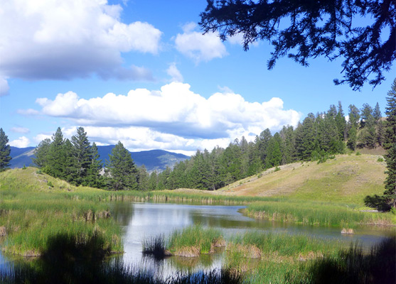 One of the Beaver Ponds, half way around the loop trail