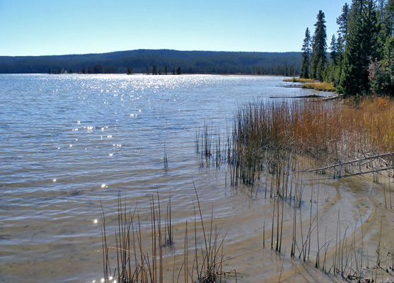 Shoshone Lake