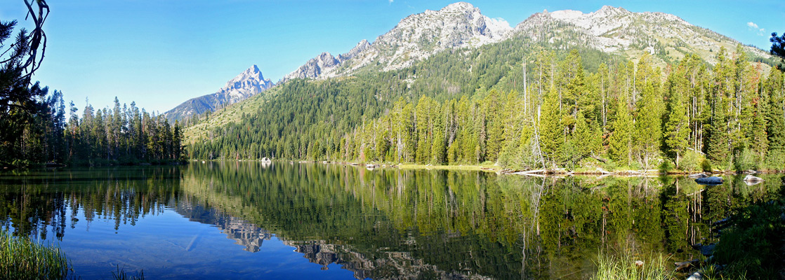 Reflections of trees on String Lake