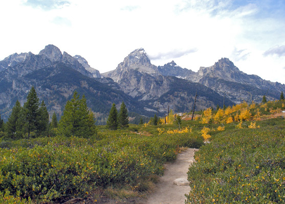 Trail to Taggart Lake