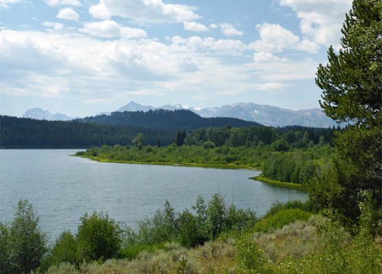 The Tetons, beyond the west end of Two Ocean Lake
