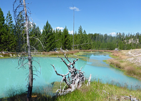 Rabbit Creek Group