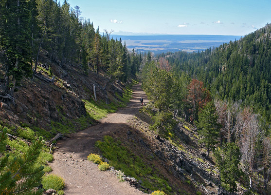 Path up the hillside 