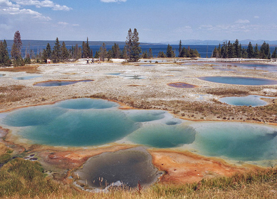 West Thumb Geyser Basin