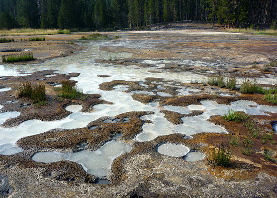 Whiterock Springs - clayish pool