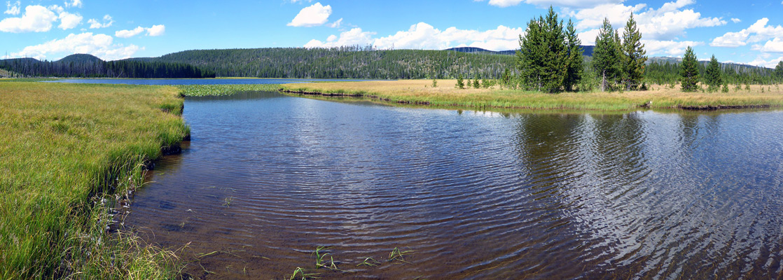 Gibbon River, south of Wolf Lake