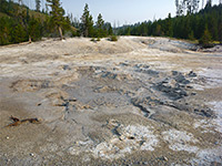 Amphitheater Springs