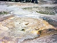 Anemone Geyser, on Geyser Hill