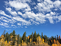 Clouds above aspen