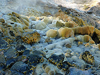 Avalanche Geyser