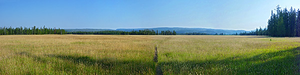 Yellowstone National Park