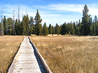 Boardwalk across the meadows