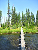 Log over Boundary Creek